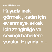 Ruyada Inek Gormek Kadin Icin Evlenmeye Erkek Icin Zenginlige Ve Sevincli Haberlere Yorulur Ruyada Inekten Sut Sagmak Buyuk Bir Menf Isaretler Okuma Yorum