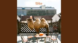 Owwww weee baby, you make me wanna walk like a camel. Personal Playlist Jeff Tweedy Talks About The Stories Behind 10 Wilco Songs Chicago Tribune