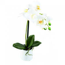Annonces correspondantes préciser la recherche (160). Orchidee Artificielle Phaleanopsis 35cm Plantes Artificielles Viva Verde