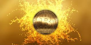 Bitcoin startups form association after india's virtual currency warning. Growth And Future Of Bitcoin In India