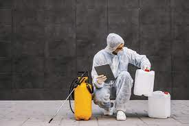 How often should pest control be done ? - CPC(India) Pest Control