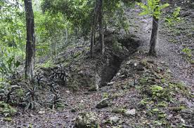 Unexcavated Mayan Ruins La Milpa Belize Trip Advisor Maya Ruins Mayan Ruins
