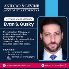 Law Offices of Anidjar & Levine