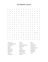 Health nervous system crossword puzzle nervous system, organized group of cells specialized for the conduction of electrochemical stimuli from sensory receptors through a network to the site at which a response occurs. Digestive System Word Search Doc The Digestive System Digestive System Digestion Respiratory System