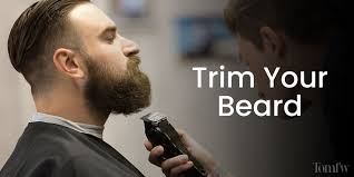 In terms of carrier oils, the seven potion beard oils contain apricot. Click To Find The Best Look With Beard Styles For Fat Guys