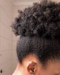 Pinterest Daehyor 4c Natural Hair Short Natural Hair Styles Natural Hair Styles