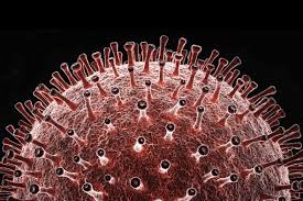 She then said americans shouldn't be alarmed to see people dying a day or two after receiving the covid vaccination. Covid 19 What The Autopsies Reveal Scientific American