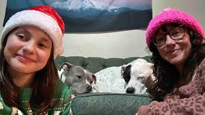 Fundraiser by Joy Clark : Benjamin Needs A Splenectomy To Live