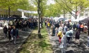 6 möglichkeiten, am earth day einen grüneren fußabdruck zu hinterlassen. Kassel Tag Der Erde Das Umwelt Und Kulturfest