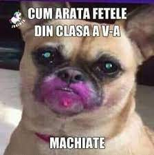 Incepe iapa sa vorbeasca, fermierul ramane stupefiat : Sa Radem Toata Ziua Home Facebook