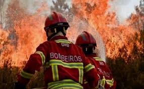 Raya e o último dragão, para todos. Centro Iberico De Investigacao E Combate Aos Incendios Florestais Reune Em Castro Marim