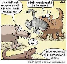 Evimizin sevimli üyeleri kediler ve köpekler arasındaki dostluk, düşmanlık, benzerlik ve farklılıklar yıllardır tartışılan bir konudur. Kopekler Neden Kedi Kovalar Sayfa 2 Uludag Sozluk