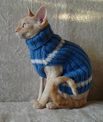 Kedi Kiyafeti Icin 60 Fikir 2020 Kedi Kiyafet Evcil Hayvan Kiyafetleri