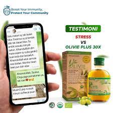 Minyak zaitun sering digunakan untuk kecantikan, obat, dan makanan. 11 Khasiat Minyak Zaitun Dan Kebaikan Mengamalkanya