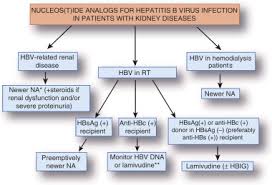 Systematic cutaneous examination in hepatitis c virus infected patients. Treatment Of Hepatitis B In Patients With Chronic Kidney Disease Kidney International