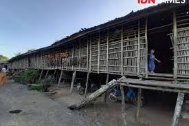 Rumah betang sungai utik authentic suku dayak iban longhouse west kalimantan borneo 西加里曼丹伊班族传统长屋. Toleransi Di Rumah Betang Beda Agama Tapi Satu Leluhur