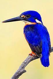 pin en all shades of blue