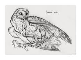 Illustration Gallery Concept By Jaw Cooper Animal Drawings Owls Drawing Animal Illustration