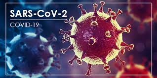 CerTest has released two kits for the diagnosis of coronavirus ...