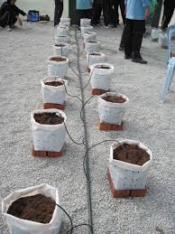 Timbalan menteri pertanian dan industri makanan, datuk seri. Fertigasi Wikipedia Bahasa Melayu Ensiklopedia Bebas