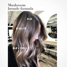 Sharon On Instagram Mushroom Bronde I Get Asked For Formulas All The Time And Here S One That S Freque Hair Color Formulas Hair Color Techniques Hair Styles