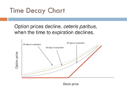 Understanding Options Ppt Download
