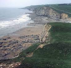 Southerndown Beach Glamorgan Uk Beach Guide Uk Beaches South Wales Visit Wales