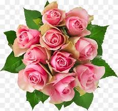 Check spelling or type a new query. The Pinkprint Music Young Money Entertainment Album Bed Of Lies Science Album Cover Purple Album Violet Png Pngwing