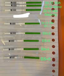 Eisprung, follikelsprung oder ovulation bezeichnet den vorgang im menstruationszyklus, bei dem eine unbefruchtete eizelle aus einem reifen follikel ausgestoßen wird und in den eileiter wandert, wo sie von einem spermium befruchtet werden kann. Lh Anstieg 8 Tage Vor Mens Frauen Schwangerschaft Periode