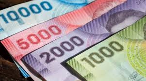 El aporte familiar permanente es una cantidad de dinero (bono), reajustable en febrero de cada año, que se entrega a las familias de menores ingresos desde el 15 de marzo de 2021. 9kjtdaldnlsftm