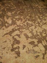 As if that's not enough, sealed floors look beautiful and are easier to clean. How To Remove Flaking Concrete Sealer Paint Home Improvement Stack Exchange