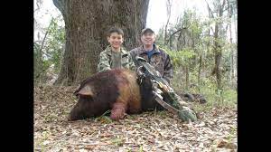 We offer spot and stalk hunting from electric 4wd bad boy buggies. Free Range Wild Boar Bow Hunt In Florida For Hogs Hunting With Dogs Awesome Shot By Youth Pov Youtube