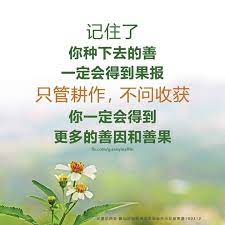 记住师父一句话 要真情对人 真正地对人家好 人家一定会对你更好 谁都有感情 每个人都有感情 每个人都有自己的慈悲心