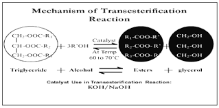 Transesterification process for biodiesel production pdf. Scielo Brasil Use Of Jatropha Oil Methyl Ester And Its Blends As An Alternative Fuel In Diesel Engine Use Of Jatropha Oil Methyl Ester And Its Blends As An Alternative
