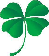Clover Png Image Clover Plant Leaves Image
