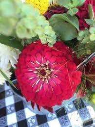 a relaxing morning at the modesto california farmers market california farmer modesto california modesto pinterest