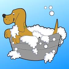 Make this simple natural dog shampoo for your favorite furry friend! How To Make Natural Dog Shampoo The Manualician
