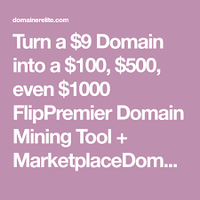 Turn A 9 Domain Into A 100 500 Even 1000 Flippremier Domain Mining Tool Marketplacedomainer Elite Pro Inclu Domain Name Generator Name Generator Domain