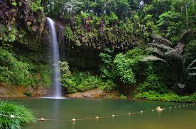 Therefore, pack the camera and fill the water bottles, because what awaits you in the surrounds of the lambir rainforest is picturesque waterfalls. Lambir Hills National Park Sarawak Malaysia The World Is Not That Big