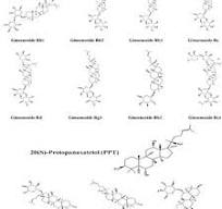 Major ginsenoside 20(S)-protopanaxadiol (PPD) and ...