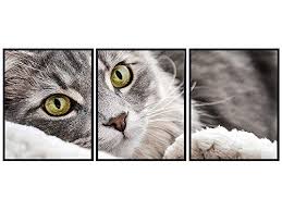 Quick view compare add to cart the item has been added. Shop Yellowbird Art Design Pet Parents On Dailymail