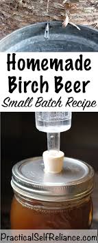 Birch Beer Small Batch Recipe