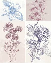 Hand drawn flowers svg free. Vintage Vector Graphics Blog Page 29 Flower Drawing Flower Illustration Hand Drawn Flowers