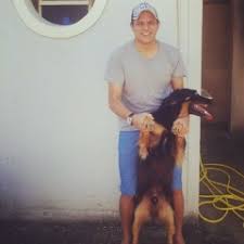 Check spelling or type a new query. Guilherme Guedes 9 S Stream