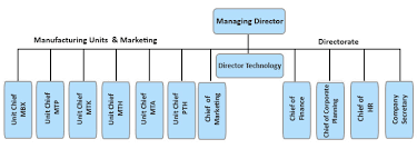 Organization Chart Hmt Mt Hmt Mt