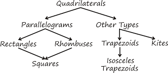 Unit 7 polygons quadrilaterals homework 4 rectangles answers / solved unit 7 polygons and quadrilaterals homework 4 rect chegg com unit 7 polygons and quadrilaterals homework 4 rhombi and squares answers related to the properties of parallelograms unit 6 test showing top 8. Polygons And Quadrilaterals Ck 12 Foundation