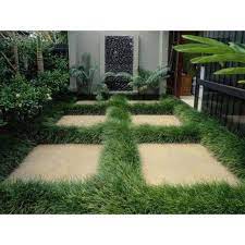 Ophiopogon Japonicus Japonica 50 Bare Root Plants Walmart Com Mondo Grass Monkey Grass Garden Paving