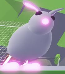 Adopt cute pets decorate your home ️ explore the world of adopt me! How To Get The Best Pets On Adopt Me Gaming Top Tips