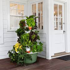 My juice plus tower garden progress from start to nine weeks juiceplustowergarden towergarden how to plan your perfect tower garden tower garden juice plus tower garden vertical herb garden. Tower Garden Juice Plus Insights