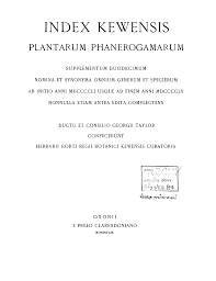 Image result for Ancylobothrys tayloris